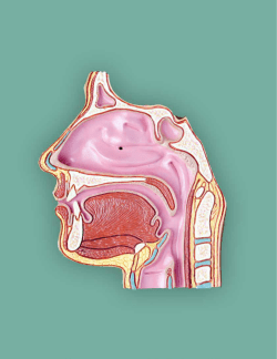 Members: $6 per credit - Association of Surgical Technologists