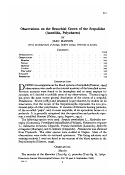Observations on the Branchial Crown of the Serpulidae (Annelida