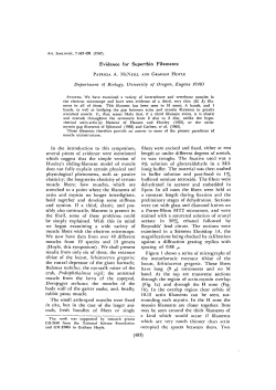 Evidence for Superthin Filaments Department of Biology, University
