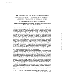 the requirement for lymphocyte function- associated antigen 1