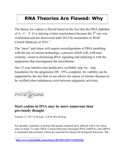 RNA Theories Are Flawed: Why