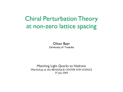Chiral Perturbation Theory at non