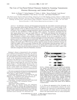 The Core of Tau-Paired Helical Filaments Studied by Scanning