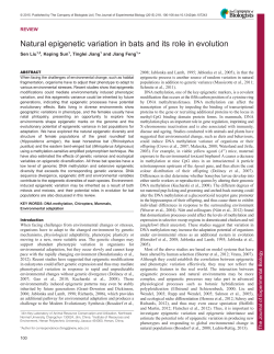 Natural epigenetic variation in bats and its role in evolution