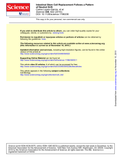 Intestinal Stem Cell Replacement Follows a Pattern of