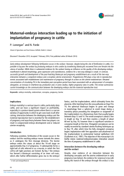 Maternal-embryo interaction leading up to the initiation of