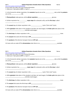 BIO 9 Cellular Respiration Amoeba Sisters Video Questions Name
