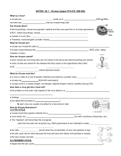 NOTES: 20.1 - Viruses (outline)