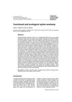 Functional and ecological xylem anatomy