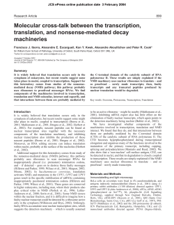 Molecular cross-talk between the transcription, translation, and