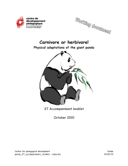 Carnivore or herbivore!