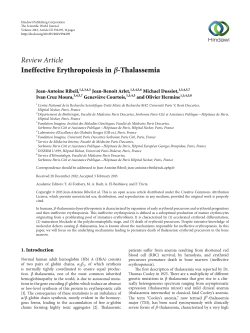 Review Article Ineffective Erythropoiesis in -Thalassemia