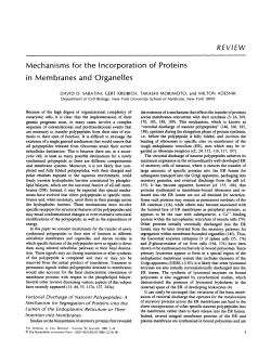 Mechanisms for the Incorporation of Proteins in