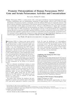 Promoter Polymorphisms of Human Paraoxonase PON1 Gene and