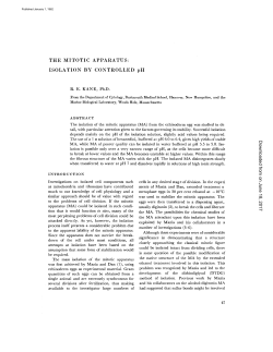 THE MITOTIC APPARATUS - The Journal of Cell Biology