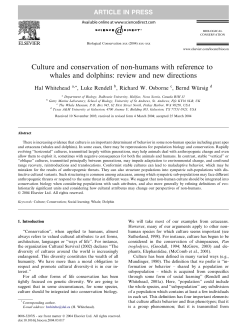 Culture and conservation of non-humans with reference to whales