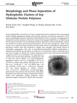 Morphology and Phase Separation of Hydrophobic Clusters of Soy