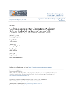 Carbon Nanopipettes Characterize Calcium Release Pathways in