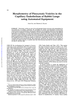 Morphometry of Pinocytotic Vesicles in the Capillary Endothelium of