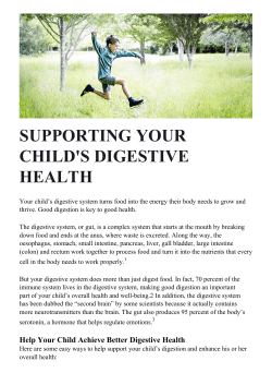supporting your child`s digestive health
