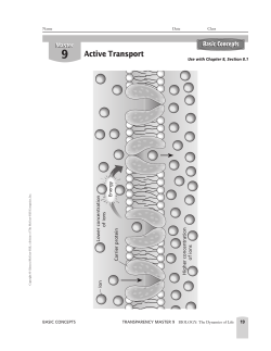 Active Transport