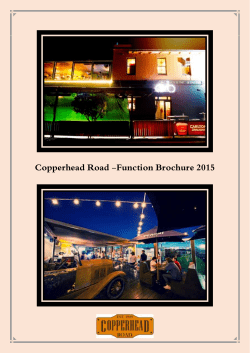 Copperhead Road -Function Brochure 2015