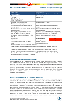 HELCOM Red List Podiceps grisegena