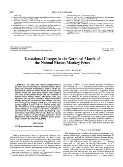Gestational Changes in the Germinal Matrix of the Normal