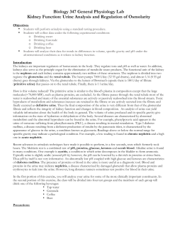 Kidney Function - Stark home page