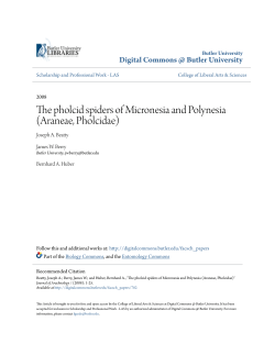 The pholcid spiders of Micronesia and Polynesia (Araneae, Pholcidae)