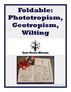 Foldable - Phototropism, Geotropism, Wilting.pptx