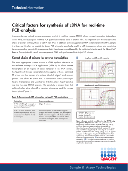 Critical factors for synthesis of cDNA for real-time PCR