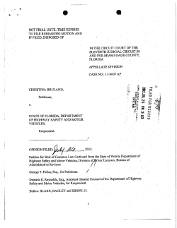 Christina Bruland vs Florida Dept. Of Highway Safety And Motor