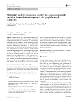 Modularity and developmental stability in segmented animals