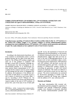 CORRELATIONS BETWEEN ATP HYDROLYSIS, ATP SYNTHESIS