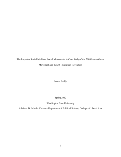 The Impact of Social Media on Social Movements