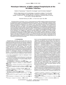 Monolayer Behavior of NBD-Labeled Phospholipids at the Air/Water