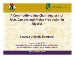 A Commodity Value Chain Analysis of Rice, Cassava and