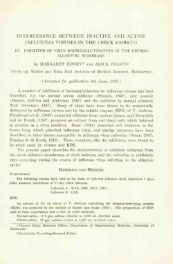 interference between inactive and active influenza viruses