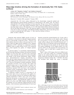 Step-edge kinetics driving the formation of atomically flat &bdquo;110