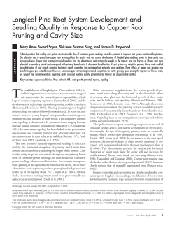 Longleaf Pine Root System Development and