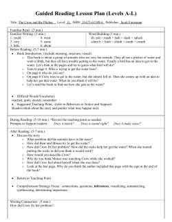 Guided Reading Lesson Plan (Levels AL)