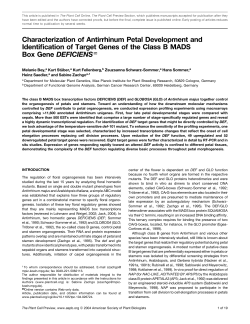 Characterization of Antirrhinum Petal Development