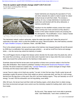 How do oysters spell climate change relief? A-N-T-A-C-I-D