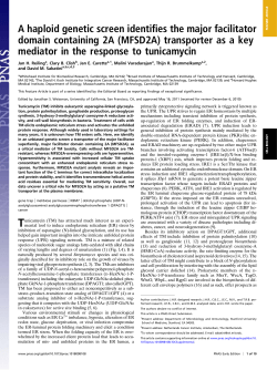 A haploid genetic screen identifies the major - Sabatini Lab