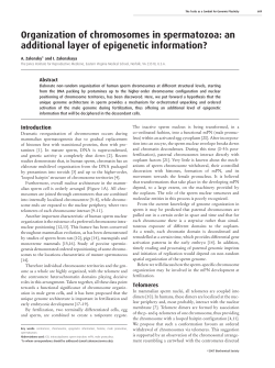Organization of chromosomes in spermatozoa: an additional layer of