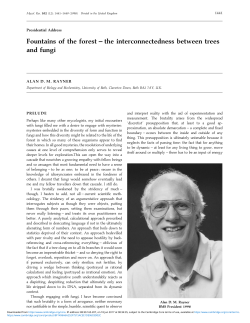 the interconnectedness between trees and fungi