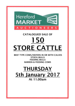 If catalogue will not open, click here