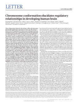 Chromosome conformation elucidates regulatory relationships in