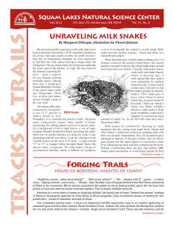 unraveling milk snakes - Squam Lakes Natural Science Center